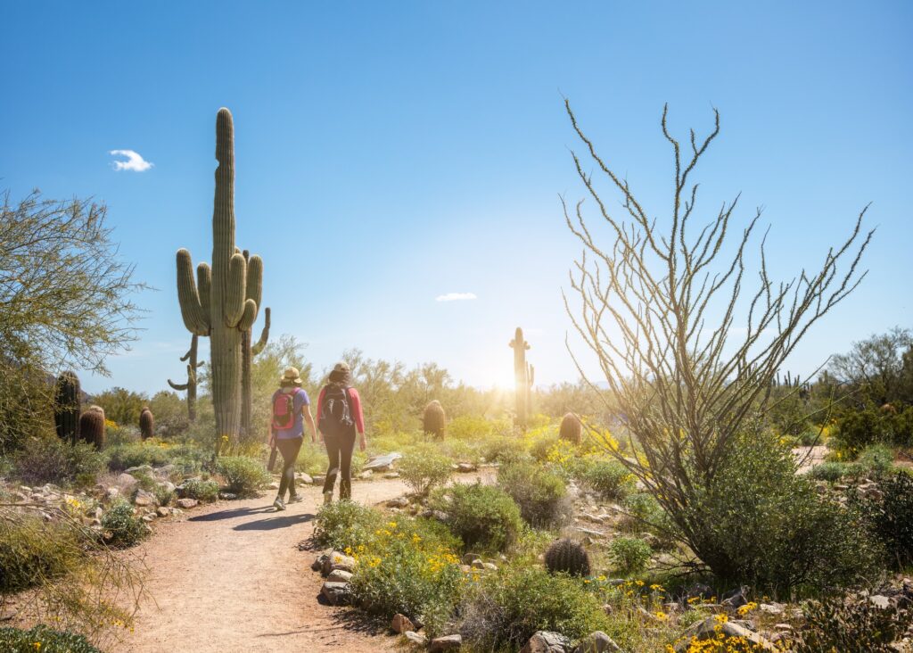 Hikers on a Scottsdale Arizona Desert Trail